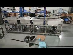 Large ultrasonic cleaning machine